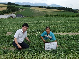 赤えんどう豆